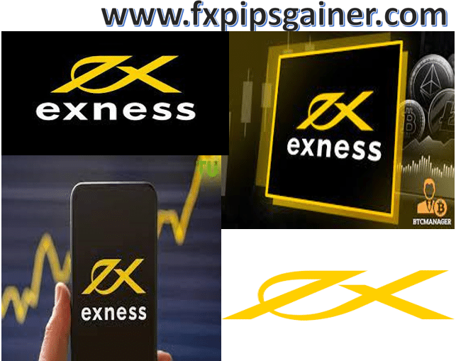 Understanding Exness Demo Your First Step in Trading Understanding Exness Demo Your First Step in Trading