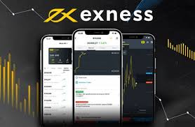 Understanding Exness Demo Your First Step in Trading Understanding Exness Demo Your First Step in Trading