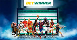Everything You Need to Know About Betwinner Registration