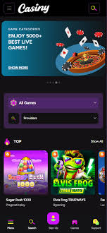 Casiny Casino Review An In-Depth Look at Features and Offerings
