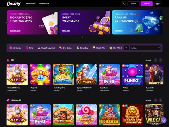 Ultimate Guide to Casiny Login 4 Ultimate Guide to Casiny Login 4
