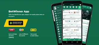 BetWinner Bonuses for Brazilian Players 14 BetWinner Bonuses for Brazilian Players 14