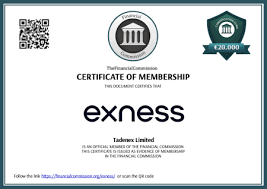 Understanding Exness Withdrawal Fee What Traders Need to Know