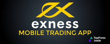 Understanding Trading Strategies with Exness Forex & CFDs